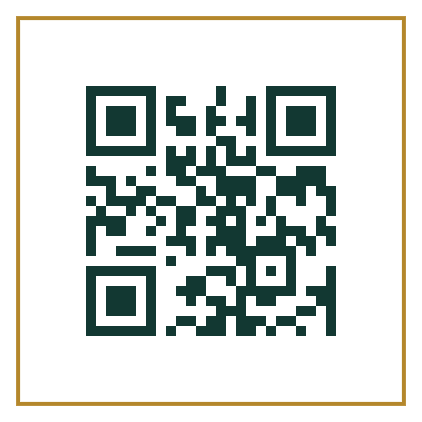 Medical QR Code Generator